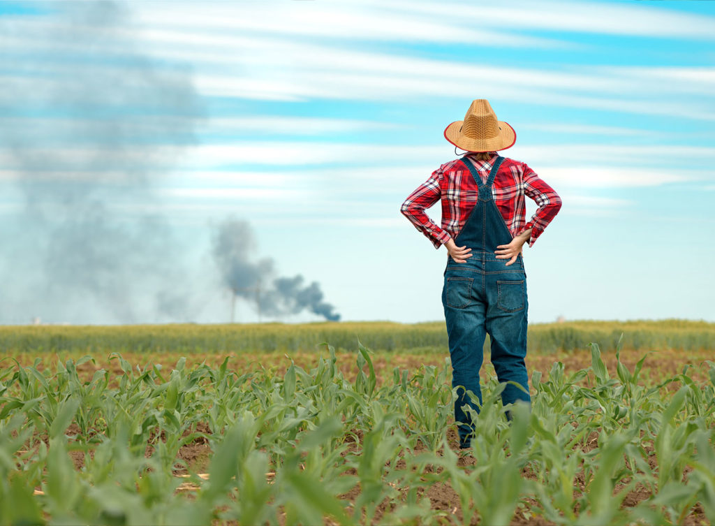 farmer sees crop on fire in the distance and has to rely on her crop insurance lincoln illinois